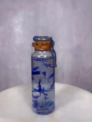 Blues Baby! Fragrance Oil (Small)